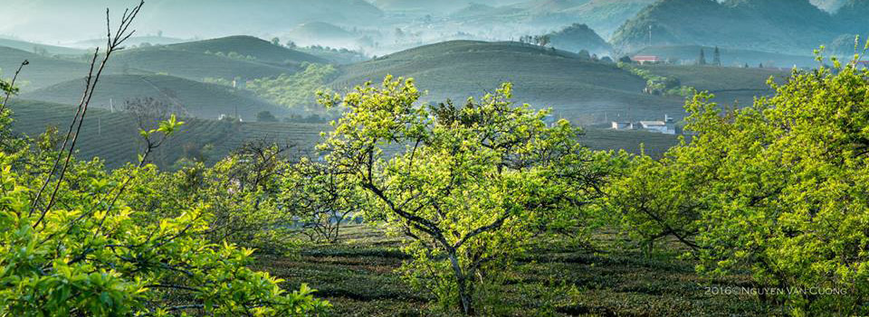Mộc Châu Sơn la
